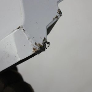 Audi Q7 S Line Front Right Side Door Moulding 2019 TO 2024 4M0583960N Genuine - Image 7