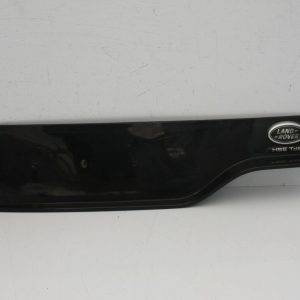 Range Rover Discovery Rear Number Plate Section HY3M 13418 AB Genuine 175367542830