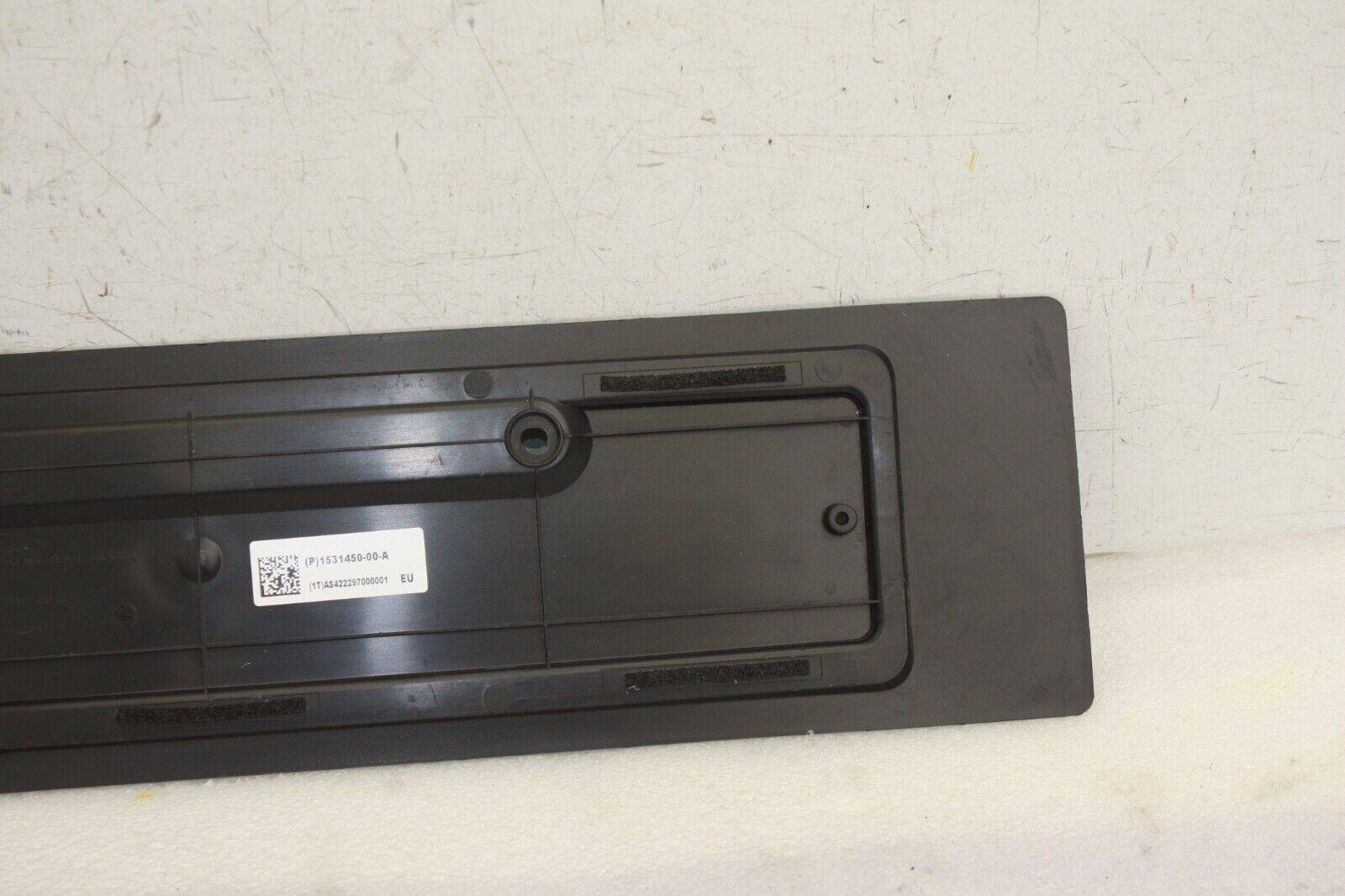 Tesla-Model-Y-Rear-Number-Plate-Holder-1147416-00-C-Genuine-176577610830-9