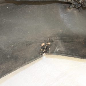 Toyota Auris Rear Bumper 2015 TO 2019 52159-02D30 Genuine *DAMAGED* - Image 20