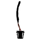 Audi Volkswagen Wiring Loom Harness Plug Connector 4E0971942 1418796 3 Genuine 178420611281