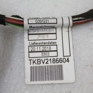 BMW 5 Series G30 G31 Rear Right Door Wiring Loom 2018 8724521 Genuine - Image 17