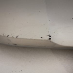 Audi Q4 E Tron Front Bumper Lower Section 2021 ON 89A807733A Genuine *DAMAGED* - Image 9
