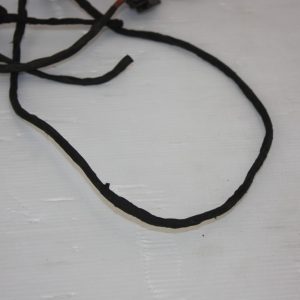 BMW 5 Series G30 G31 Rear Left Door Wiring Loom 2016 11107810 Genuine - Image 4