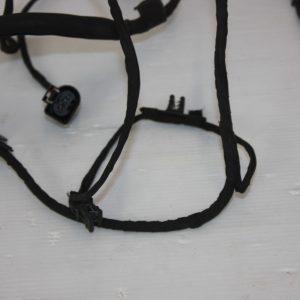 BMW 5 Series G30 G31 Rear Left Door Wiring Loom 2016 11107810 Genuine - Image 5