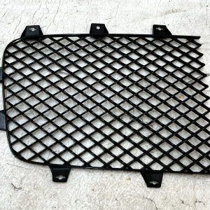 Bentley Continental GT GTC Front Left & Right Radiator Grill 3W3853683 Genuine - Image 11