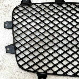 Bentley Continental GT GTC Front Left & Right Radiator Grill 3W3853683 Genuine - Image 12