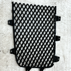 Bentley Continental GT GTC Front Left & Right Radiator Grill 3W3853683 Genuine - Image 15