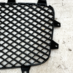 Bentley Continental GT GTC Front Left & Right Radiator Grill 3W3853683 Genuine - Image 18