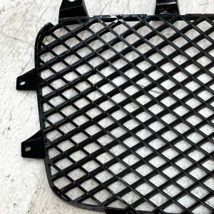 Bentley Continental GT GTC Front Left & Right Radiator Grill 3W3853683 Genuine - Image 7