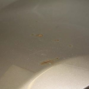 Land Rover Discovery Sport Rear Bumper Left Corner 15 TO 19 FK72-17927-A Genuine - Image 3