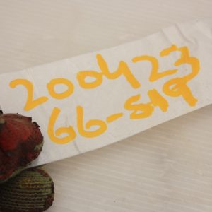 VW Golf Rear Bumper Tow Cover 2020 TO 2024 5H9807441 Genuine - Image 10