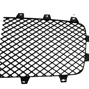 Bentley Continental GT GTC Front Left Radiator Grill 2011-2018 3W3853683 Genuine - Image 1