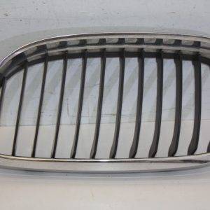 BMW 3 Series E90 LCI Front Bumper Left Kidney Grill 2008 TO 2012 51137201967 176234542894