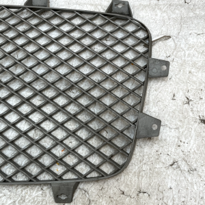 Bentley Continental GT GTC Front Left & Right Radiator Grill 3W3853683 Genuine - Image 14