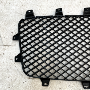 Bentley Continental GT GTC Front Left & Right Radiator Grill 3W3853683 Genuine - Image 14