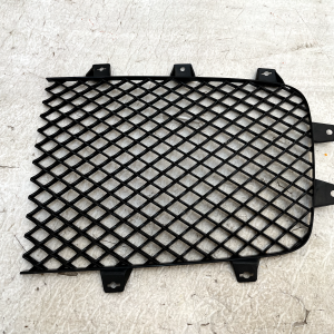 Bentley Continental GT GTC Front Left & Right Radiator Grill 3W3853683 Genuine - Image 10