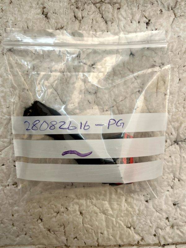 Ford Focus Door Wiring Loom Harness Plug Connector 1452841 1 Genuine 178528359944 9