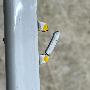 Ford Transit Custom Front Bumper Top Upper Section 2018 ON JK21-17F003 Genuine - Image 12