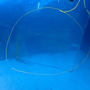 Toyota Prius Rear Bumper 2019 TO 2023 52159-47290 Genuine - Image 8