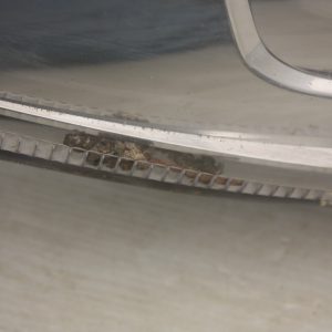 Ford Fiesta Right Side Headlight 2013 TO 2017 C1BB-13W029-EC Genuine *SEE PICS* - Image 4