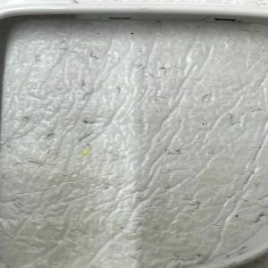 Rolls Royce Dawn Front Left Exterior Side View Mirror Frame Trim 7302061 Genuine - Image 3