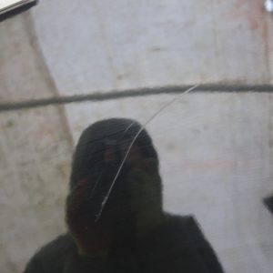 Volvo XC40 Rear Spoiler 31488325 Genuine - Image 3