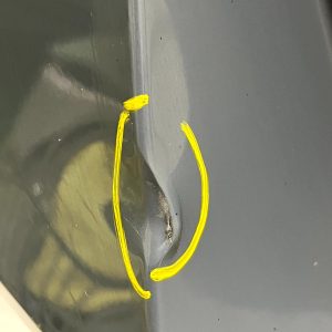 BMW X1 U11 M Sport Rear Bumper 2022-Onwards 51129881934 Genuine - Image 22