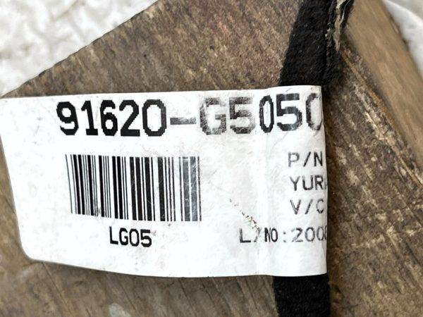 Kia Niro Mk1 Rear Left Side Door Wiring Loom Harness 16 19 91620 G5050 Genuine 178439246246 16