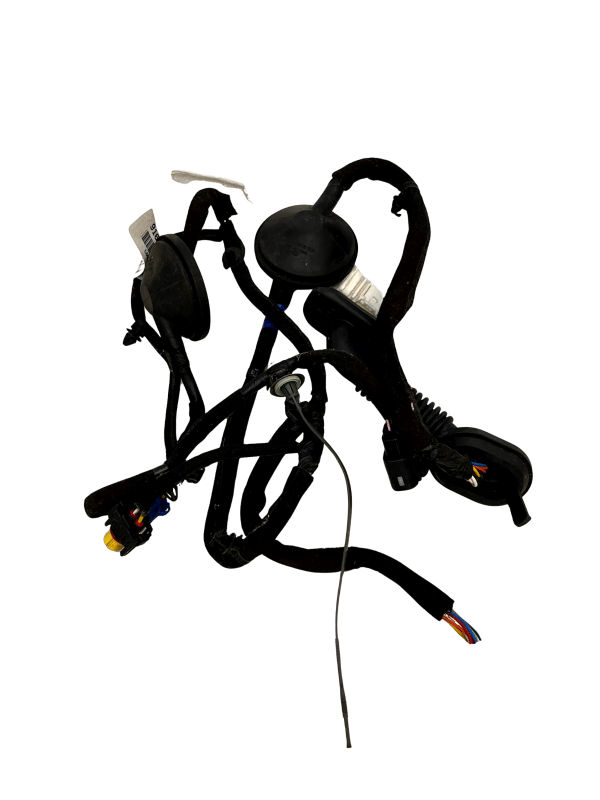 Kia Niro Mk1 Rear Left Side Door Wiring Loom Harness 16 19 91620 G5050 Genuine 178439246246