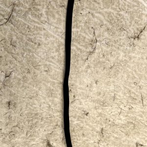 Toyota Rav4 Rear Wheel Opening Moulding Pad Seal 2019-2025 75696-42080 Genuine - Image 4
