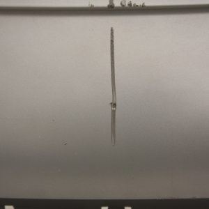 Audi A5 S Line Rear Bumper Diffuser 2007 TO 2012 8T0807521D Genuine *DAMAGED* - Image 5