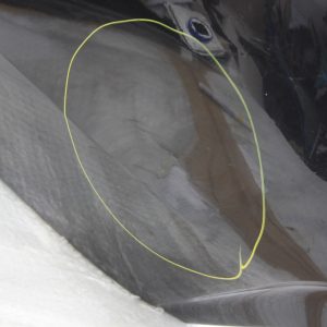 BMW 4 Series F32 F33 F36 M Sport Rear Bumper 2014 TO 2021 51128054566 *DAMAGED* - Image 9