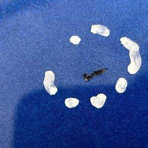 BMW X1 U11 Rear Left Wheel Arch Moulding Trim 2022 Onward 51775A01687 Genuine - Image 9