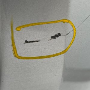 Bentley Continental GT Front Bumper Lower Section 2012 TO 2015 3W3807221 Genuine - Image 10