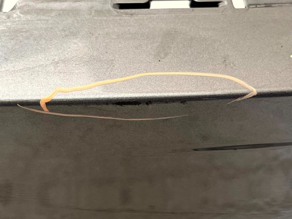Jaguar I Pace X590 Rear Bumper Cover 2018 ON J9D3 17D781 A Genuine 178416407197 7