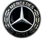 Mercedes A Class W177 Front Hood Bonnet Badge Emblem Logo A0008178501 Genuine 178507810427