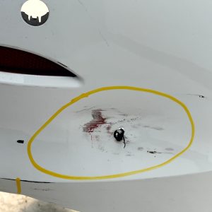 Volkswagen VW Golf MK8 Rear Bumper 2020 TO 2024 5H6807421F Genuine *DAMAGED* - Image 21