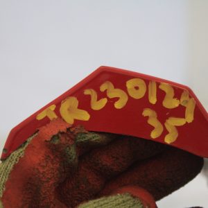 Audi A3 S3 Right Side Skirt 2013 TO 2016 8V5853860 Genuine - Image 9