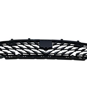 Cupra Born Front Bumper Radiator Lower Grille 2022 ON 10E853677C Genuine