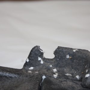 BMW 1 Series M Sport F40 Front Bumper Absorber Foam 2019-2024 8070942 Genuine - Image 4