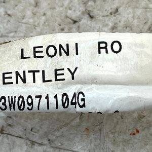 Bentley Continental GT GTC Rear Bumper Wiring Loom Harness 3W0971104G Genuine - Image 20