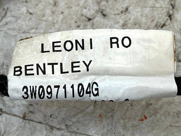 Bentley Continental GT GTC Rear Bumper Wiring Loom Harness 3W0971104G Genuine 178439985969 20