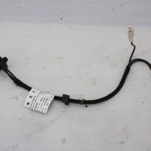 Citroen C3 Antenna Aerial Cable 2020 ON 9813715180 Genuine