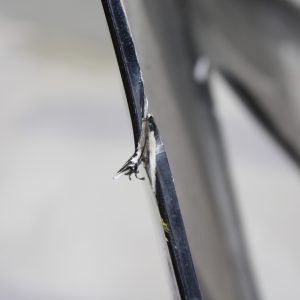 Ford Focus Front Bumper 2018 TO 2022 JX7B-17757-A Genuine *DAMAGED* - Image 17