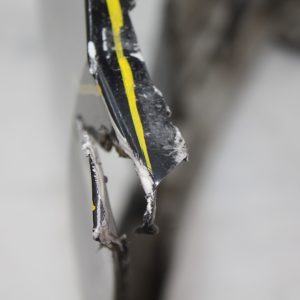 Ford Focus Front Bumper 2018 TO 2022 JX7B-17757-A Genuine *DAMAGED* - Image 18