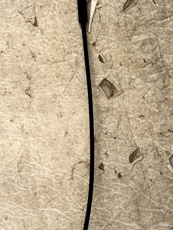 Ford Puma Mk2 Front Hood Bonnet Release Cable 2019 TO 2024 2384081 Genuine 7 Ford Puma Mk2 Front Hood Bonnet Release Cable 2019 TO 2024 2384081 Genuine 178313598689 8