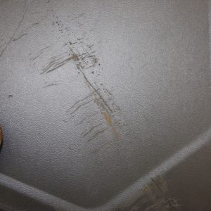 Land Rover Defender L663 Rear Right Mud Flap L8BM-286A12-BB Genuine - Image 7