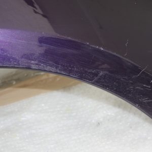 Renault Zoe Front Right Side Wing 2012 TO 2024 631009208R Genuine - Image 3