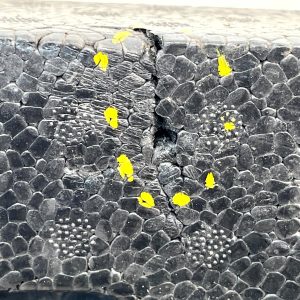 Toyota Corolla E21 Front Bumper Impact Absorber Foam 2019 ON 52611-02520 Genuine - Image 15